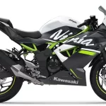 Kawasaki Ninja 125 Price In Philippines 2023 – Top Speed Specs, & Features