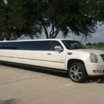 Limo vs Stretch Limo: Which is Right for Your Special Occasion 2023?