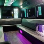 What is a Party Bus? Your Complete Guide to Definition, Features, Types, and Rentals